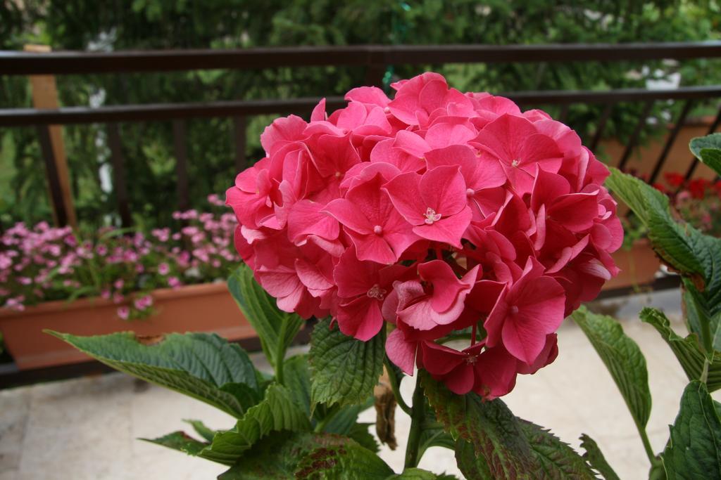 קרק Apartments Karabaic Krk מראה חיצוני תמונה