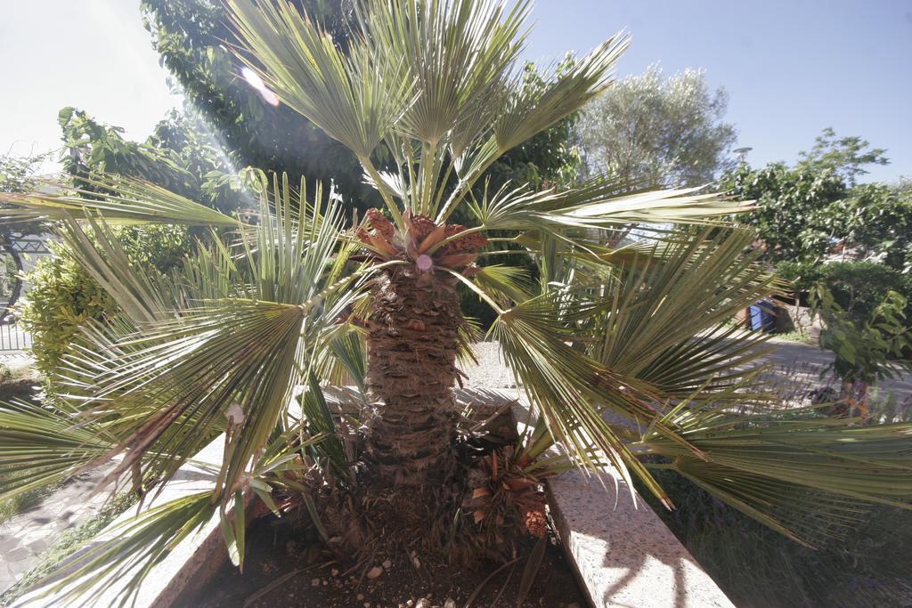 קרק Apartments Karabaic Krk מראה חיצוני תמונה